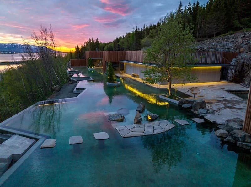 Forest Lagoon, Iceland