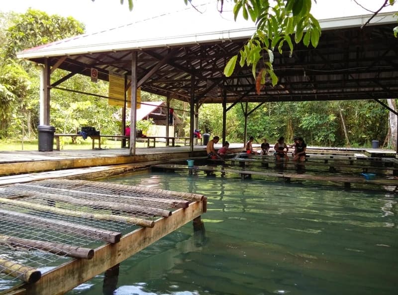Kampung Panchor Hot Spring, Malaysia