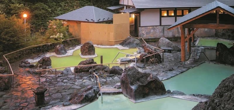 Manza Kogen Hotel, Japan