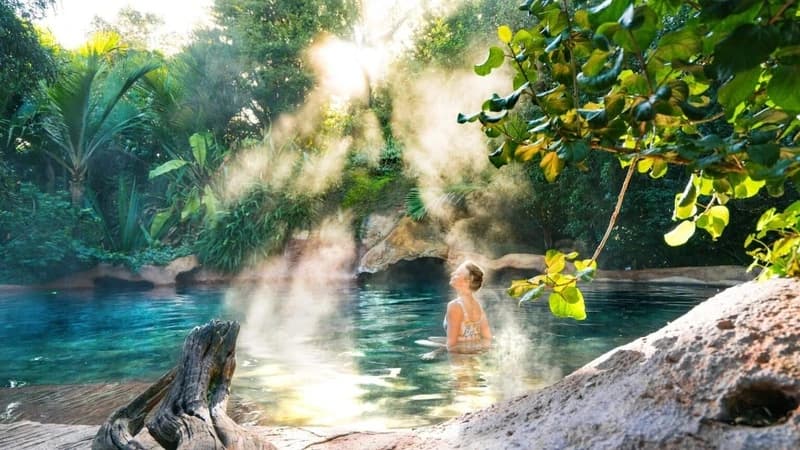 The Lost Spring, New Zealand