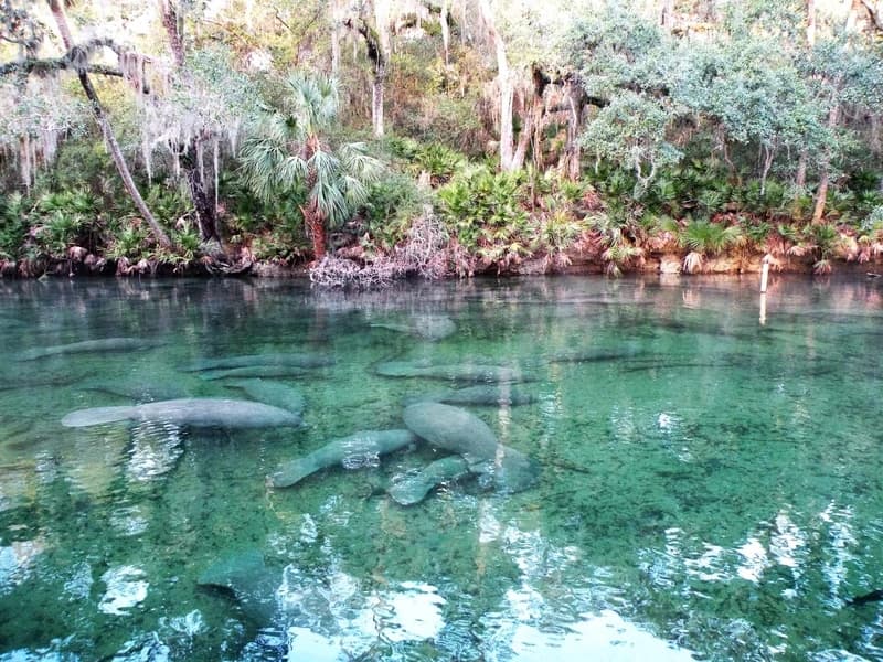 Blue Springs Park, USA
