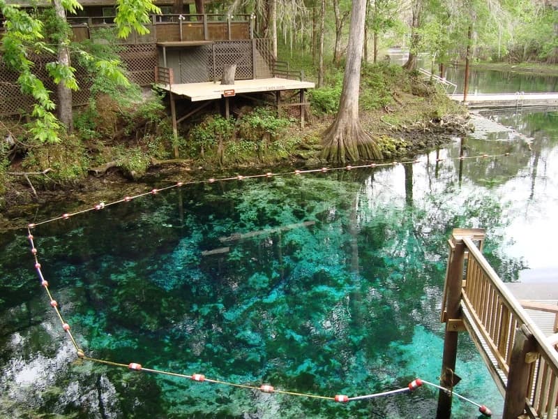 Fanning Springs State Park, USA