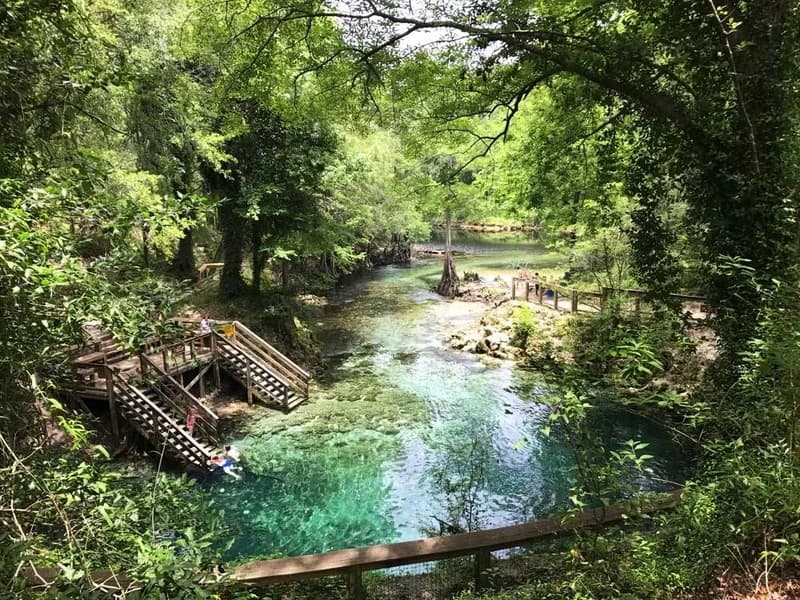 Lafayette Blue Springs State Park, USA