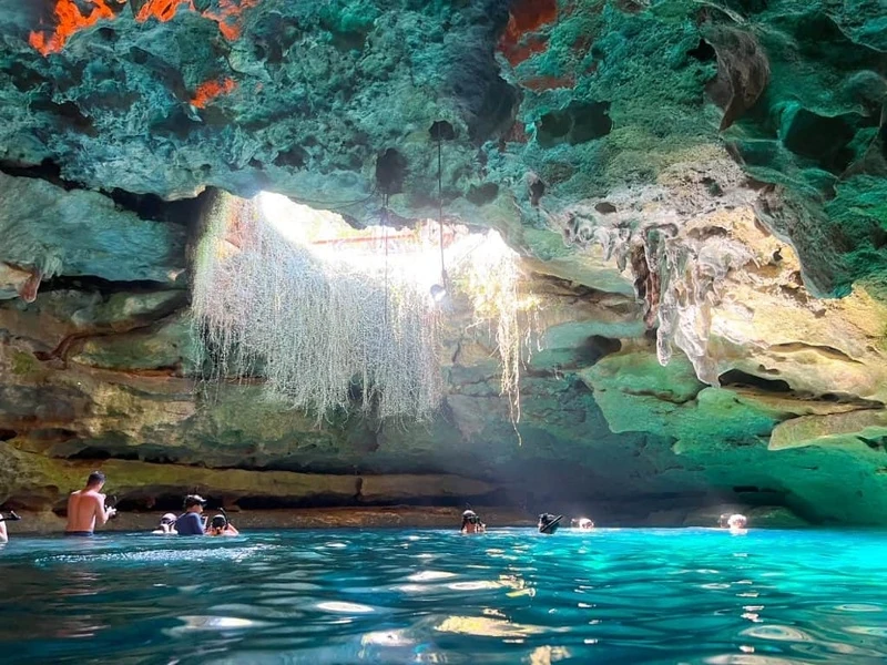 Image of Devil's Den Prehistoric Spring