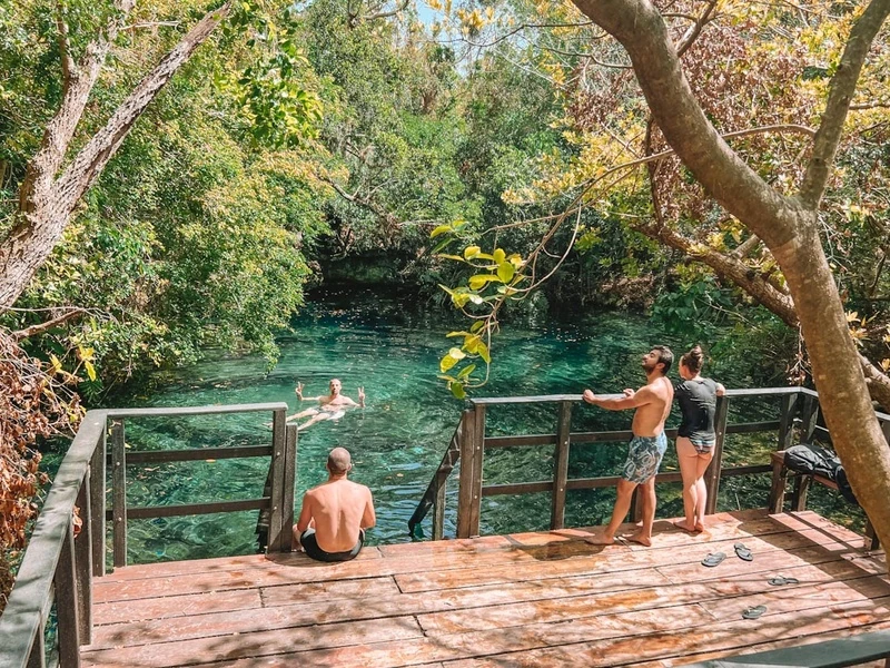 Image of Indigenous Eyes Ecological Reserve