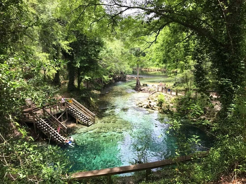 Image of Lafayette Blue Springs State Park